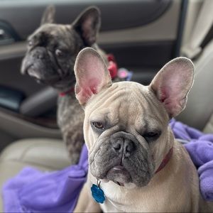 Meet your Posher, Brandi